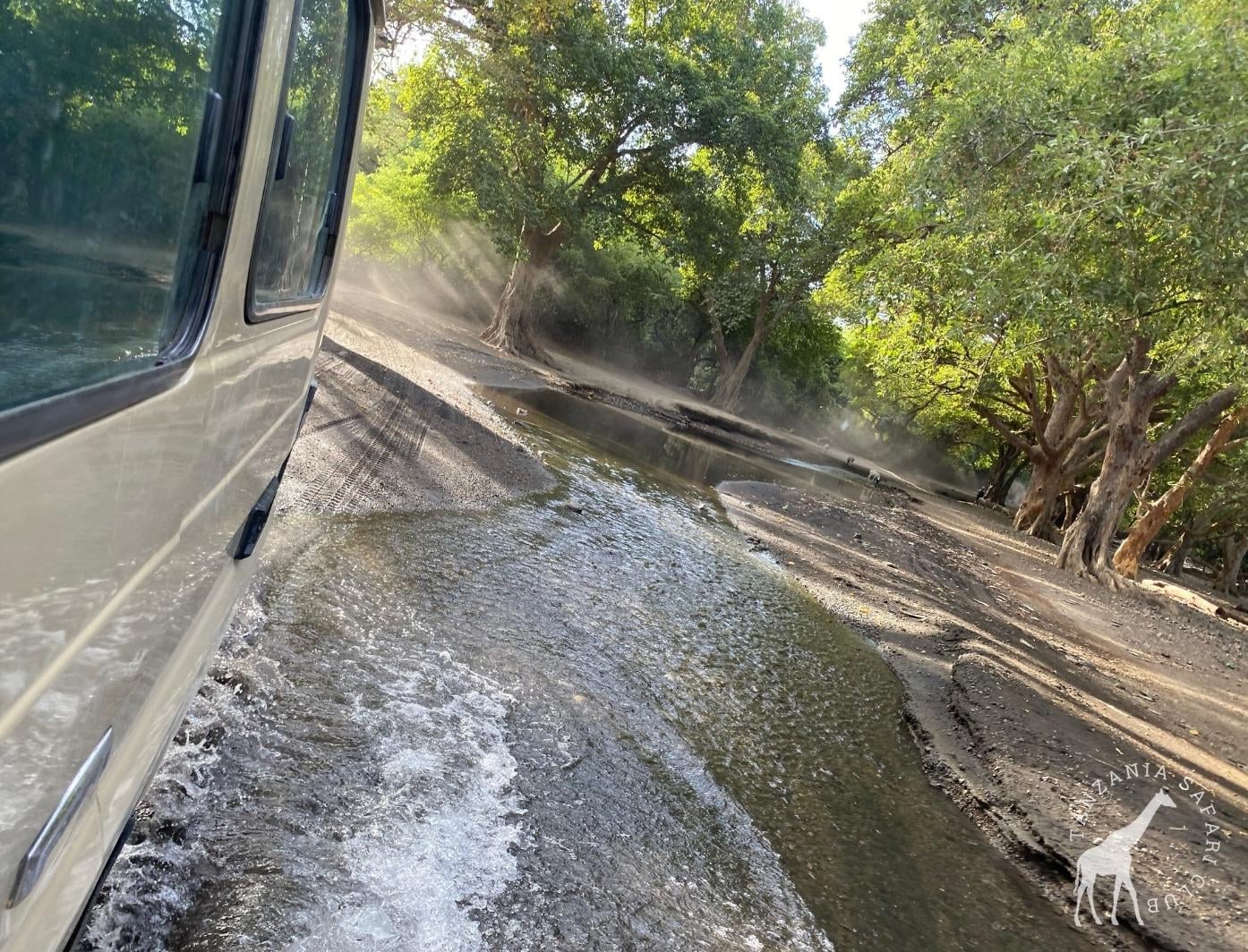 tanzania safari hero