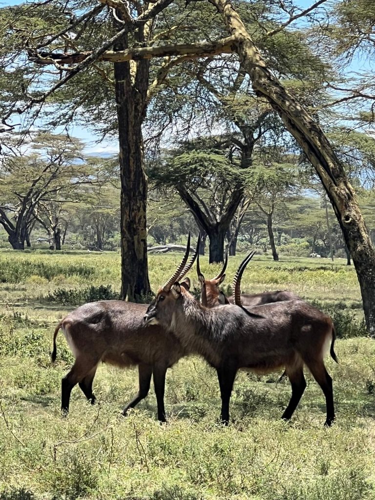 photo 2025 09 27 21 03 25 4