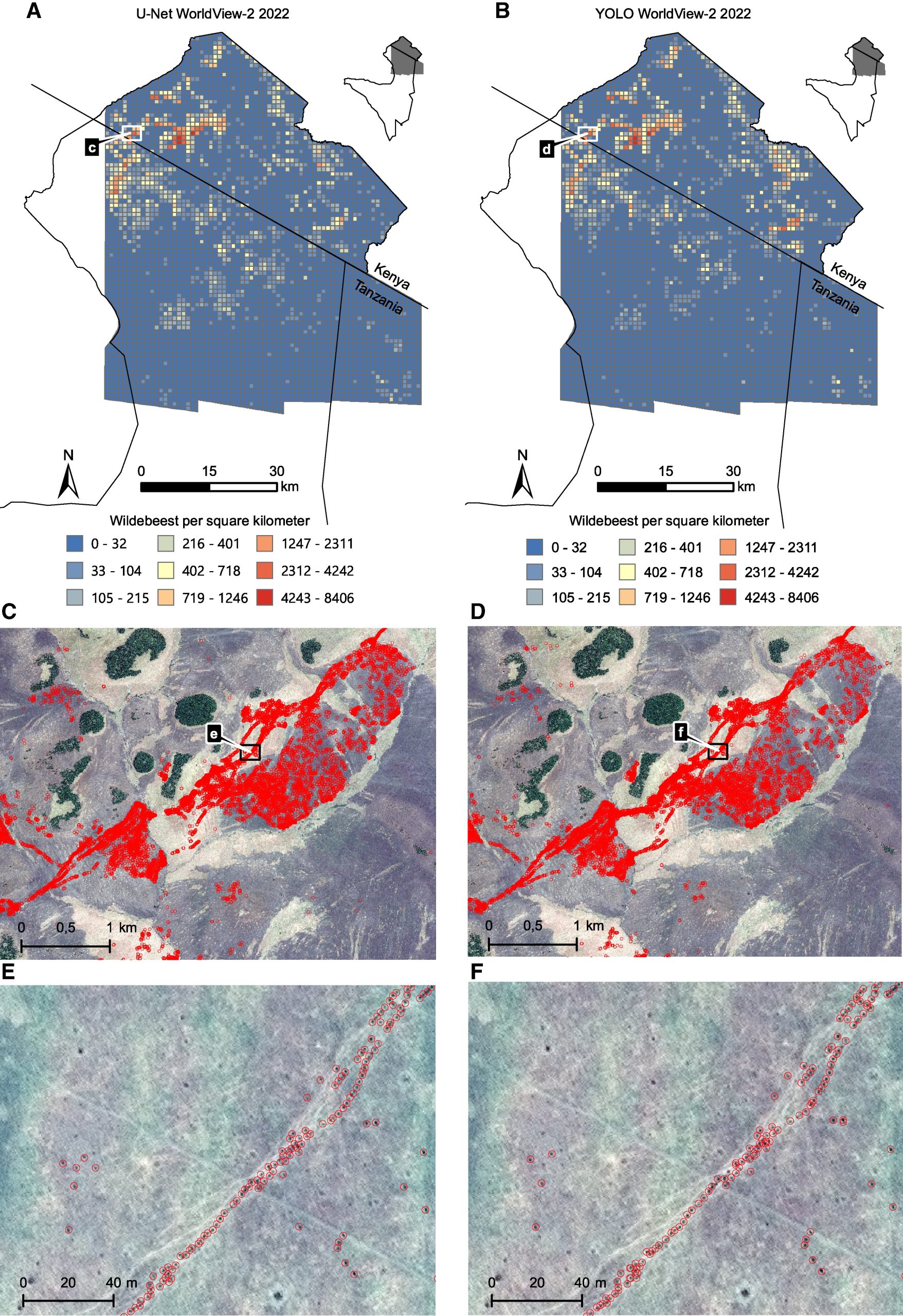 satalite counting of migration