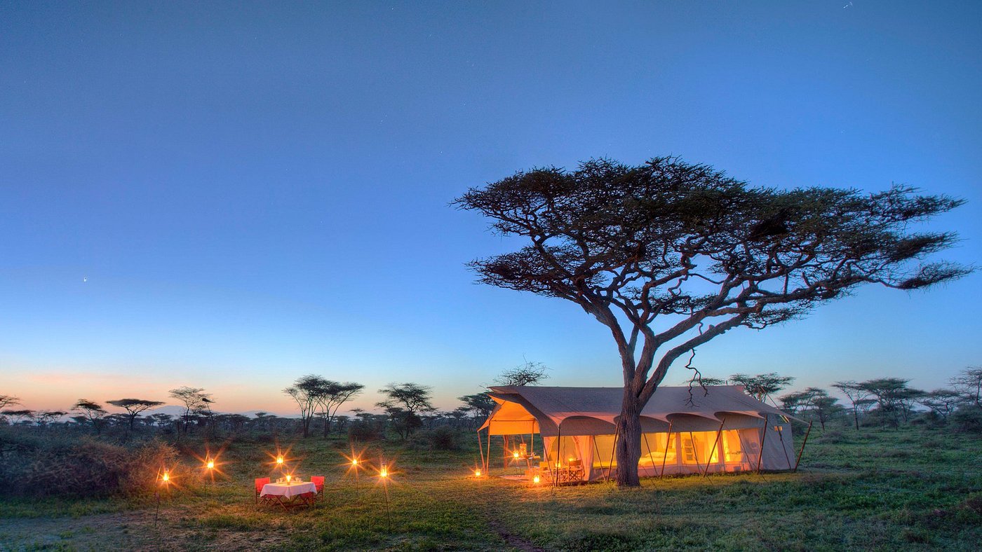 andbeyond serengeti under