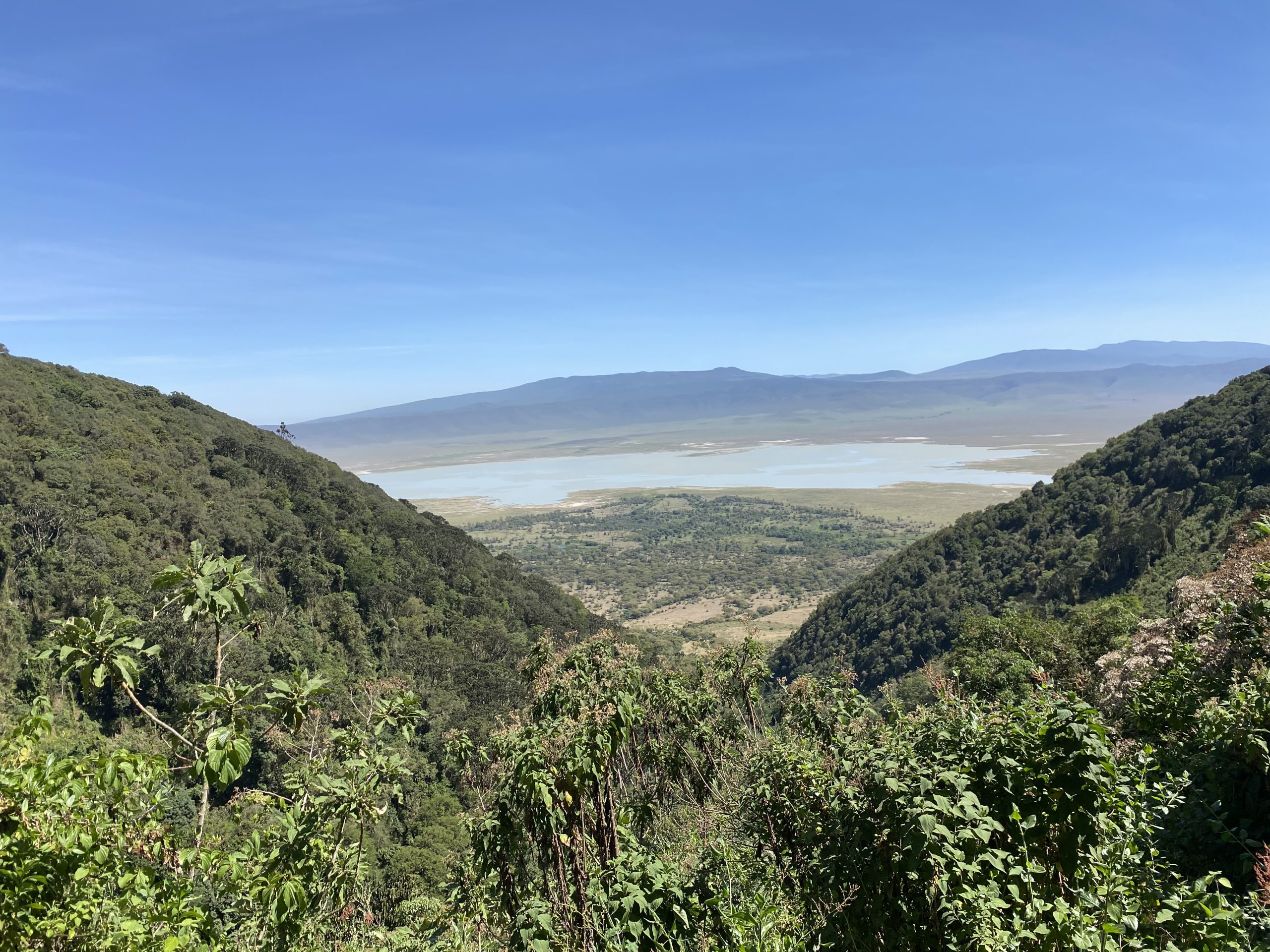 Ngorongoro crater view