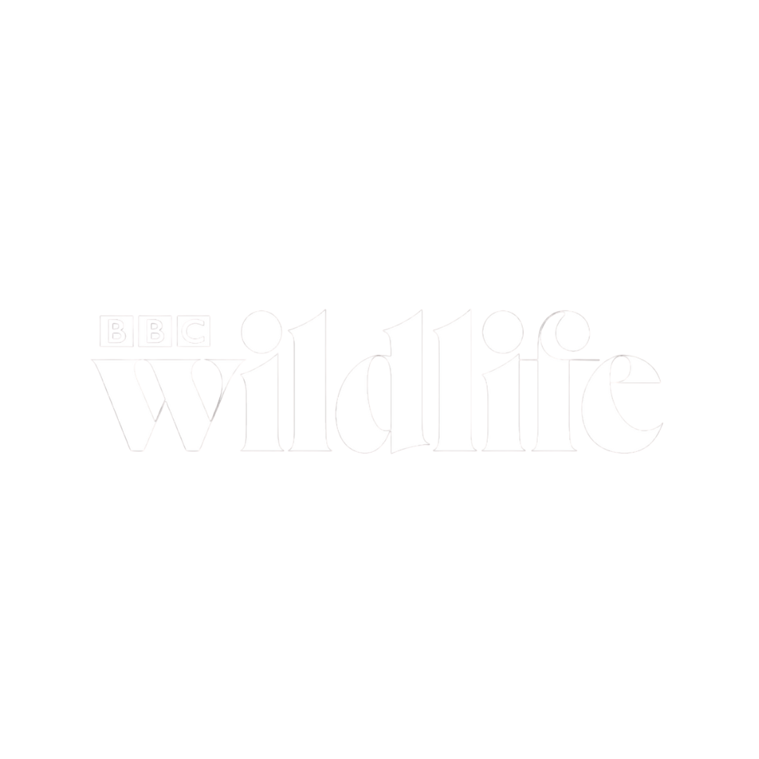 bbc wildelife